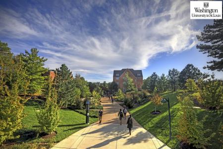 Washington University in St. Louis