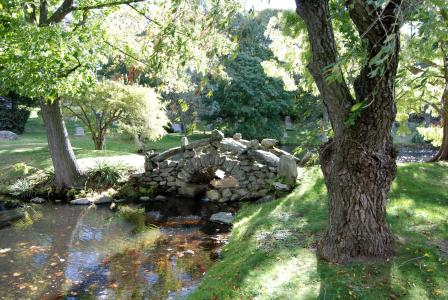 Newton Cemetery Arboretum