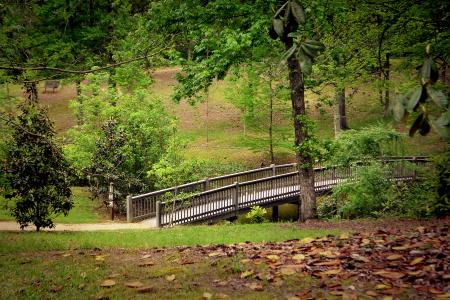 Lockerly Arboretum Lockerly Arboretum - Bridge