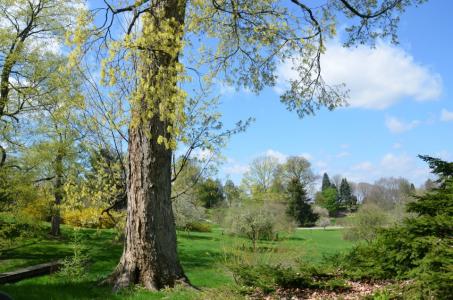 The Dawes Arboretum