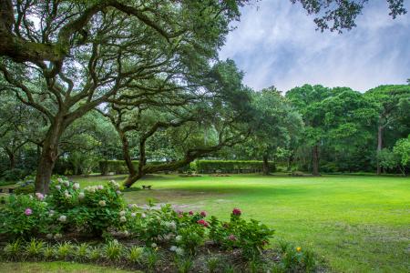 The Elizabethan Garden