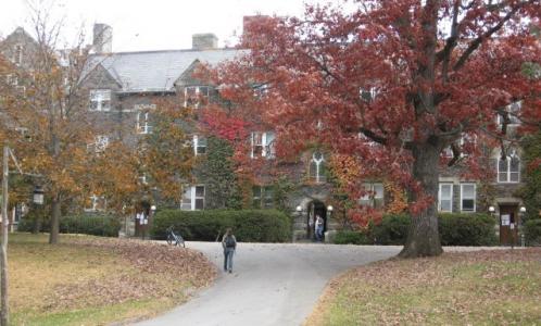 Bard College campus trees, trees