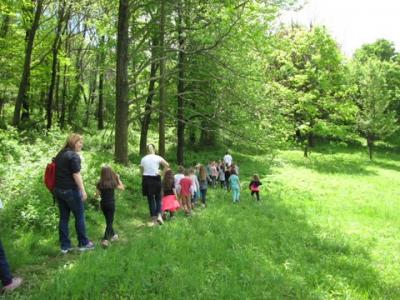 Pleasant Hills Arboretum kids hike