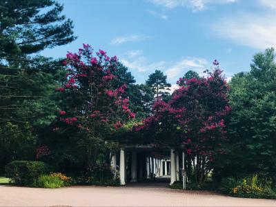 Salisbury University Arboretum