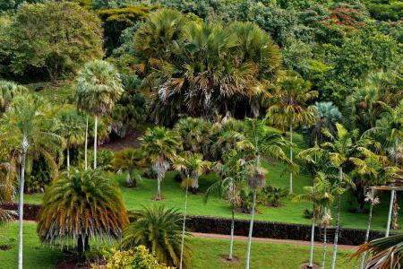 National Tropical Botanical Garden National Tropical Botanical Garden