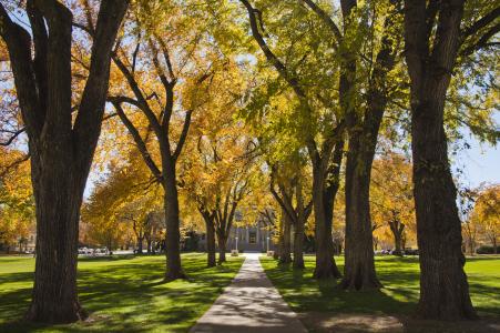 Colorado State University Campus Arboretum - Fall
