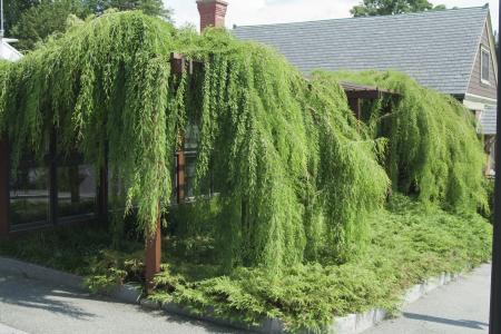 Smith College Botanic Garden