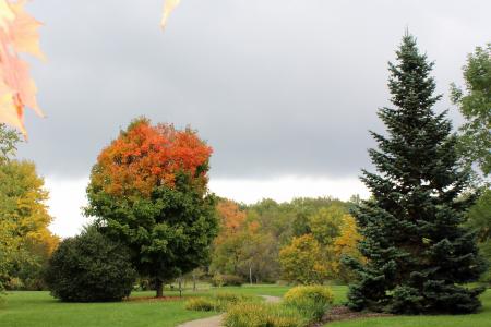 University of Guelph Arboretum University of Guelph Arboretum