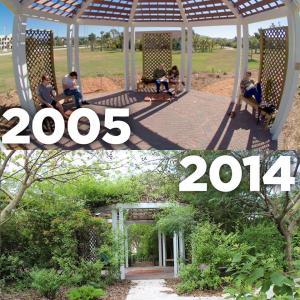 A before and after shot of the Robert J. Husckshorn Arboretum