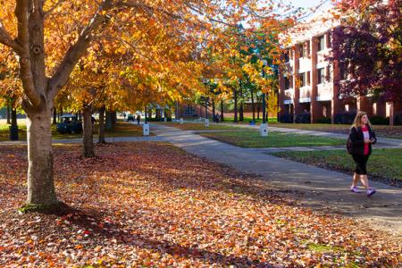 University of Arkansas Fort Smith campus trees