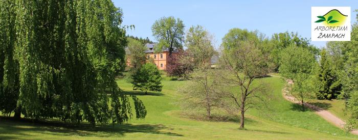 Arboretum Zampach