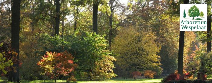Arboretum Wespelaar Arboretum Wespelaar