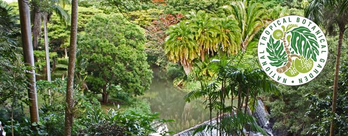 National Tropical Botanical Garden National Tropical Botanical Garden