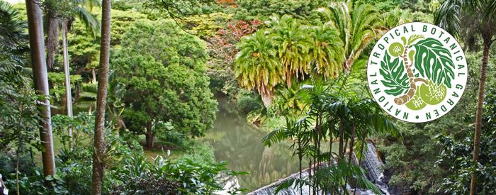 National Tropical Botanical Garden