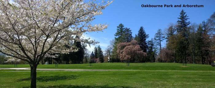 Oakbourne Arboretum Cherry Tree