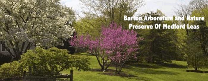 Barton Arboretum