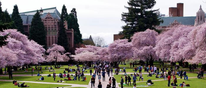 University of Washington campus arboretum