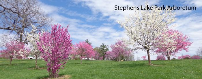 Stephens Lake Park Arboretum