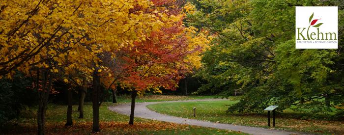Klehm Arboretum Fall trees
