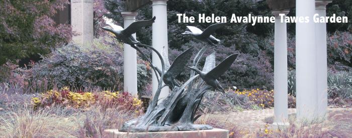 The Helen Avalynne Tawes Garden