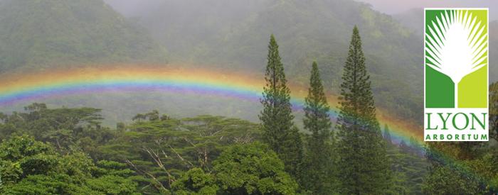 Lyon Arboretum rainbow with trees