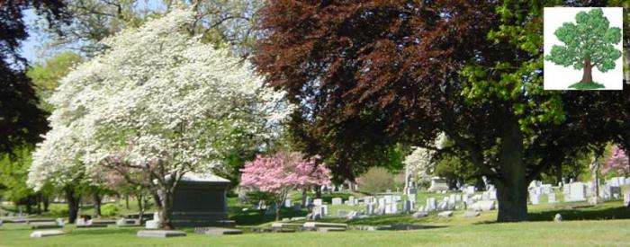 OakLawn Cemetery