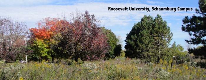 Roosevelt University, Shaumburg campus