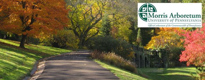 The Morris Arboretum