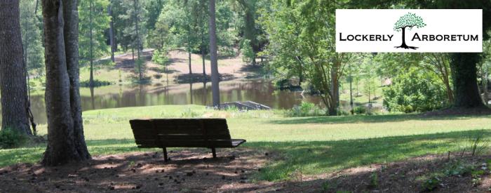 Lockerly Arboretum bench at pond Lockerly Arboretum
