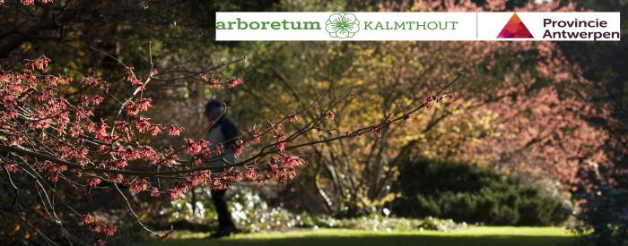 Arboretum Kalmthout