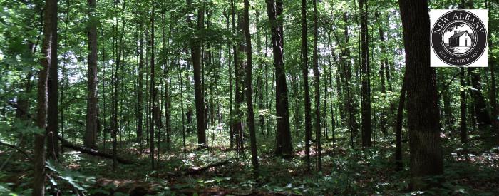 City of New Albany Arboretum