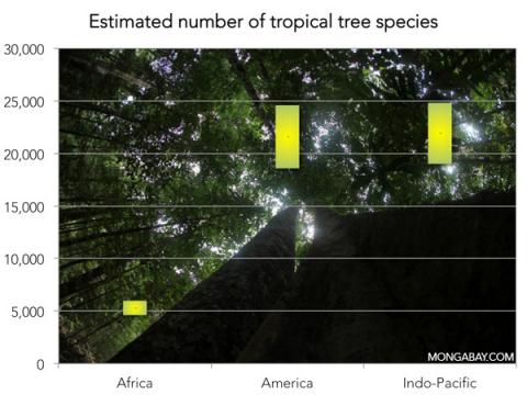 Estimated number of tree species Estimated number of tree species