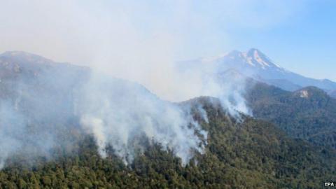 Chile forest fire