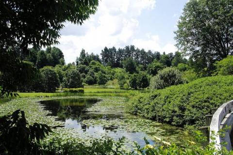 Cornell Plantations