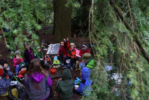 Forest school