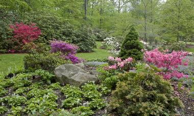 The Holden Arboretum