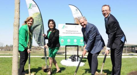 Tollway project, Morton Arboretum