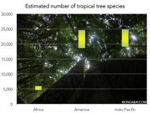 Estimated number of tree species 