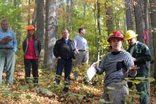 forest researcher